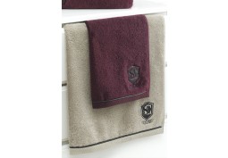 Malý ručník LUXURY 32x50 cm